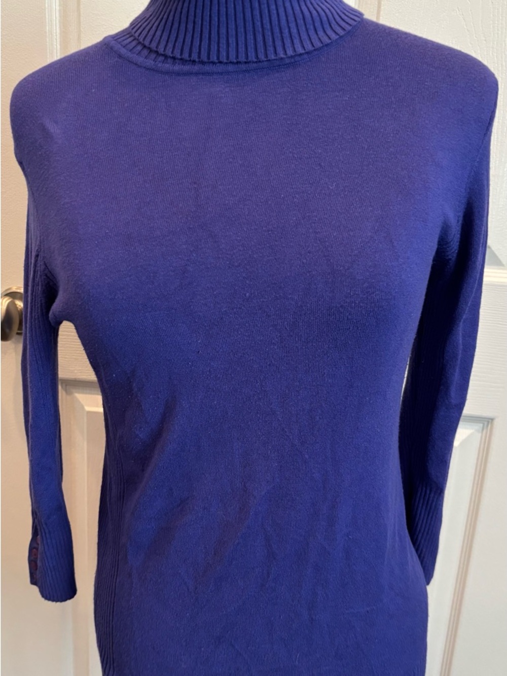 Express Deep Purple Ribbed Turtleneck Sweater